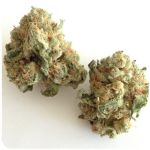 Шишки "White Widow" (Белая вдова) Гидропоника - Бошка VHQ в Ипатово Шишки "White Widow" (Белая вдова) Гидропоника - Бошка VHQ в Ипатово