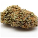 Шишки AK47 (Гидропоника, Бошка) VHQ в Ипатово Шишки AK47 (Гидропоника, Бошка) VHQ в Ипатово